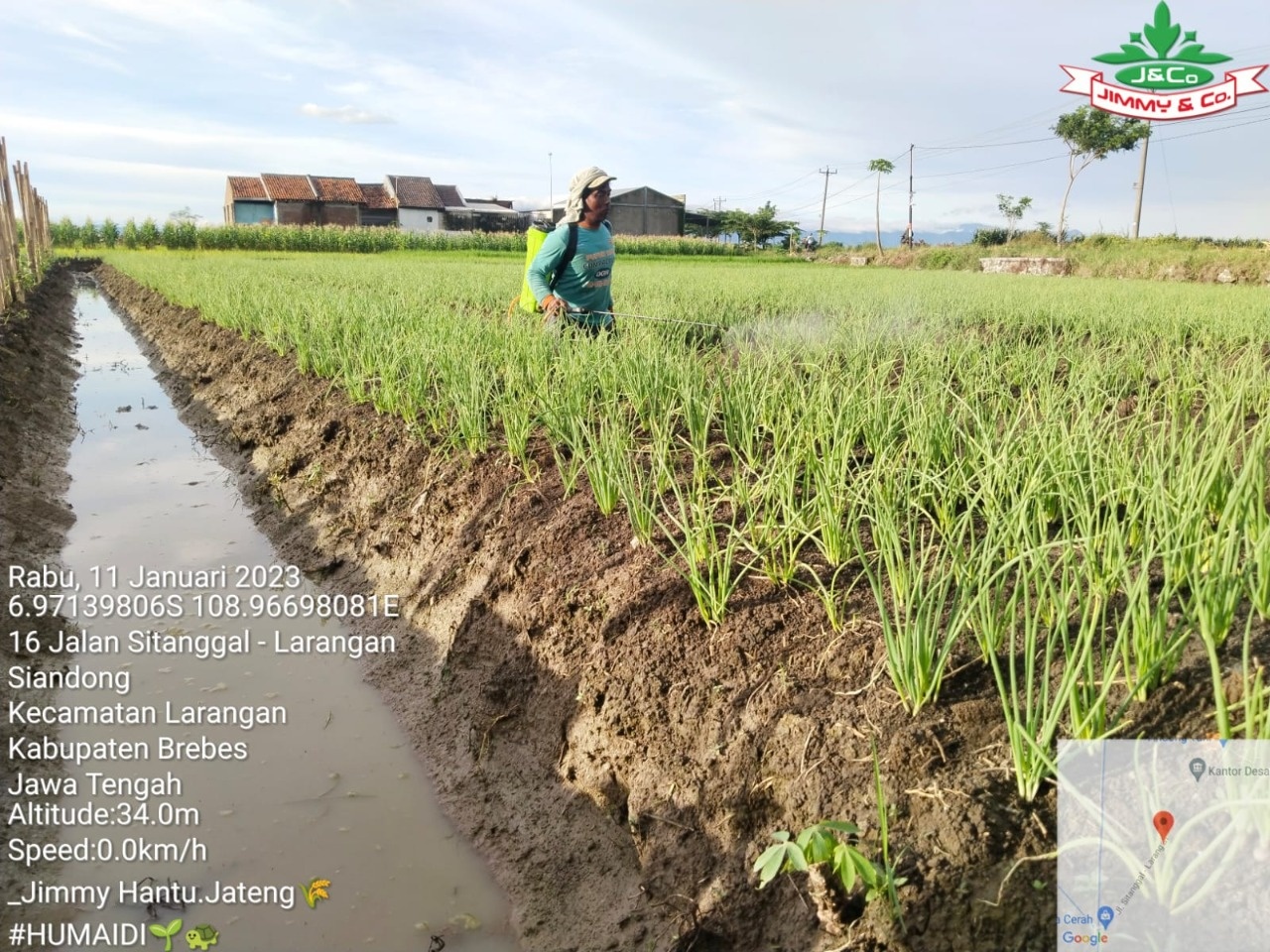 Jual Pupuk Organik Di Lampung Terdekat