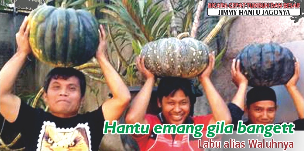 Toko Pupuk  Di Lampung Berkualitas