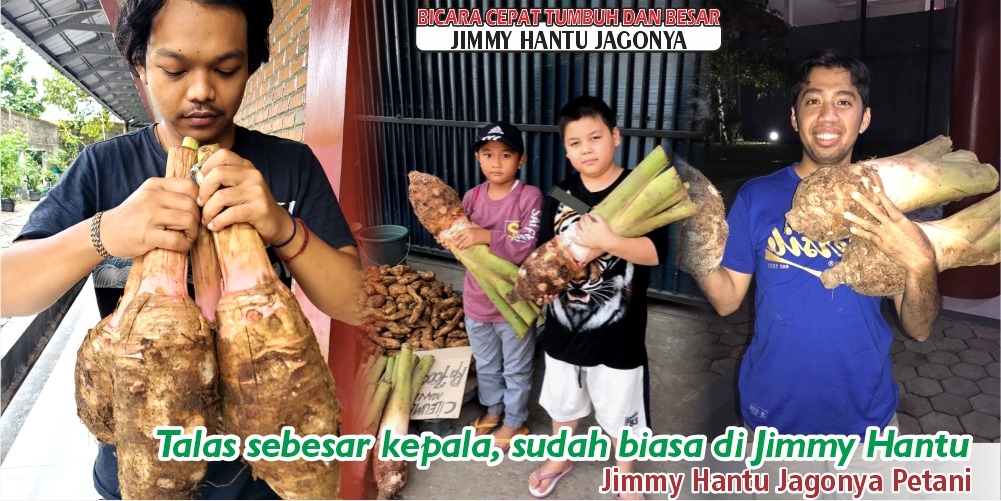 Toko Pupuk  Di Bandar Lampung Aman