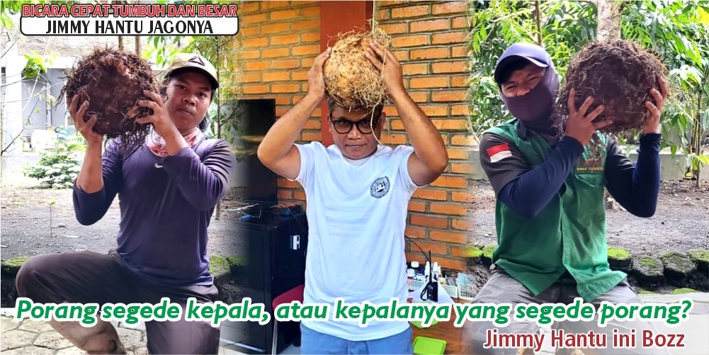 Toko Pupuk Organik Di Jakarta Terbaik